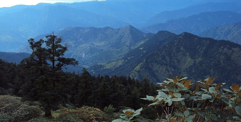 Things to do in Chopta offers trekking, camping, and stunning Himalayan views for adventurers.