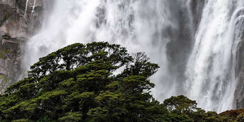 Image of a waterfall flowing down a surface, surrounded by trees, like Kune Waterfall.