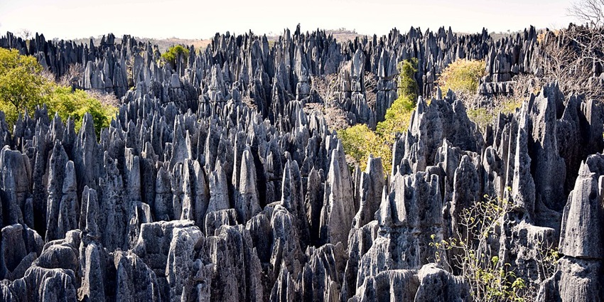 View of the majestic Limestones throughout the Tsingy De Bemaraha National Park