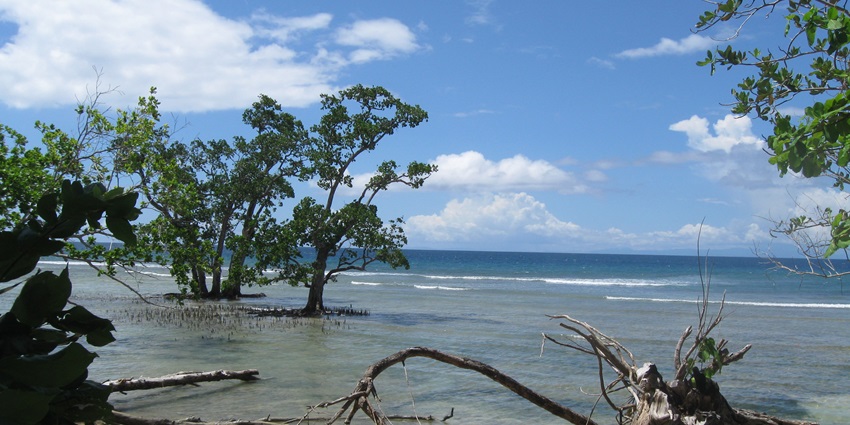 Scenic image of world biggest island of Indonesia— new Guinea Islands