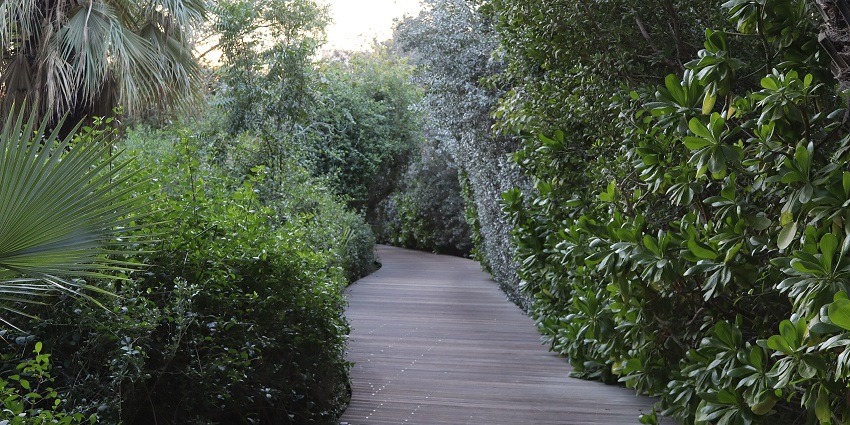 Al Noor Island Sharjah offers art, nature, and relaxation with stunning illuminated gardens.