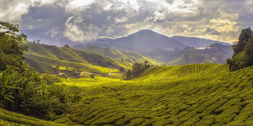 An image of a valley resembling the Bumthang Valley, one of the best places to visit in Bhutan.