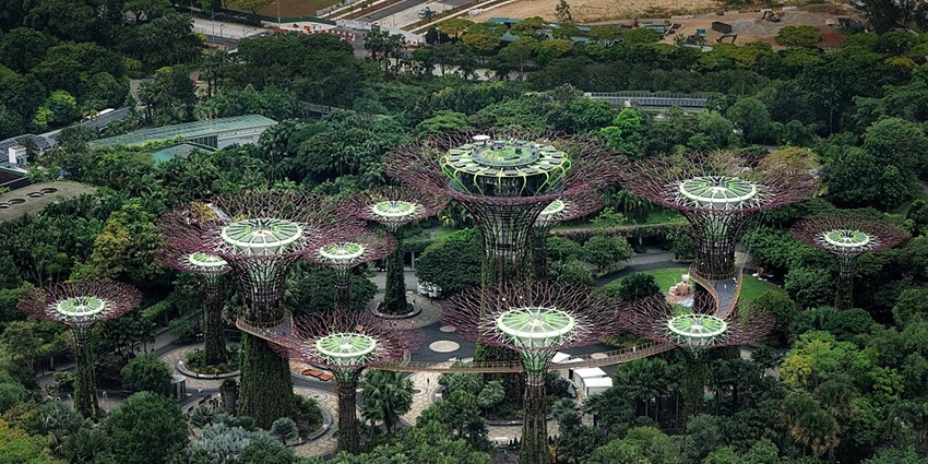Aerial view of the Supertree Grove, a top feature at Gardens By The Bay, Singapore