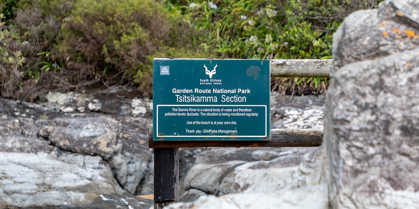 A majestic view of Tsitsikamma’s cliffs and ocean vistas, a highlight in the park