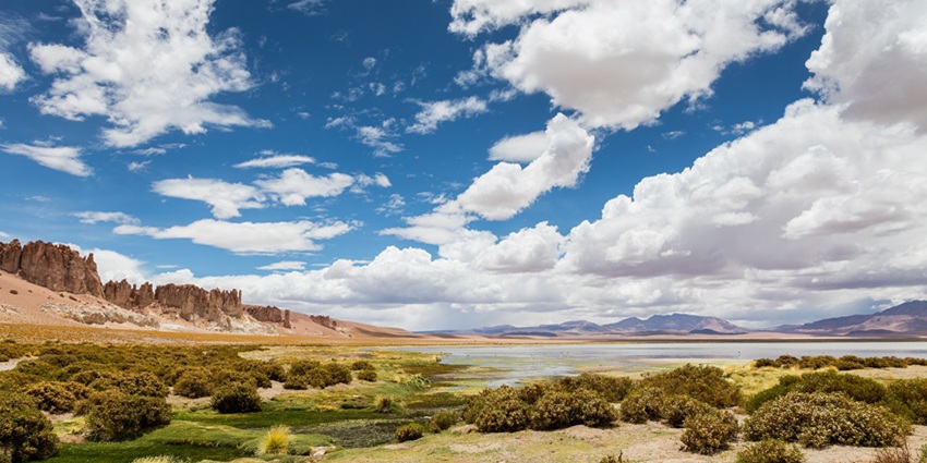 An image of Acamarachi lake at high altitude in the Atacama Desert