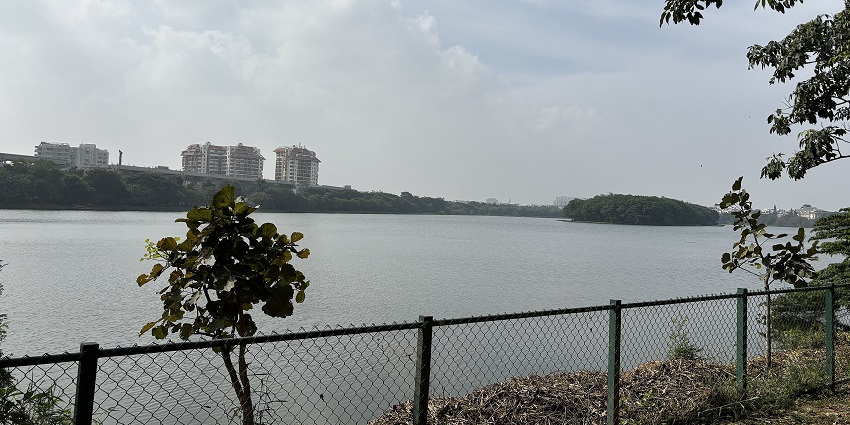 A picturesque view of Agara Lake, one of Bangalore's largest lakes, beautifully enveloped by green surroundings.
