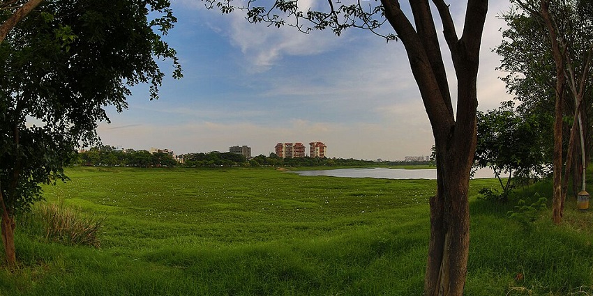 Agara lake surrounded by green landscape with trees and distant apartment buildings