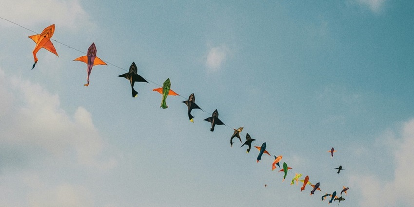 Ahmedabad Kite Museum, India, showcases a unique collection of vibrant and historic kites.