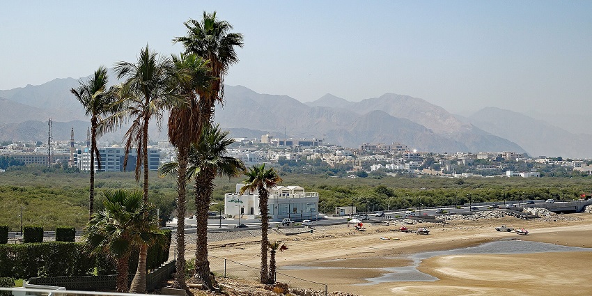 Al Qurm Mangrove Reserve, a spot for nature lovers to see, a top thing to do in Kalba