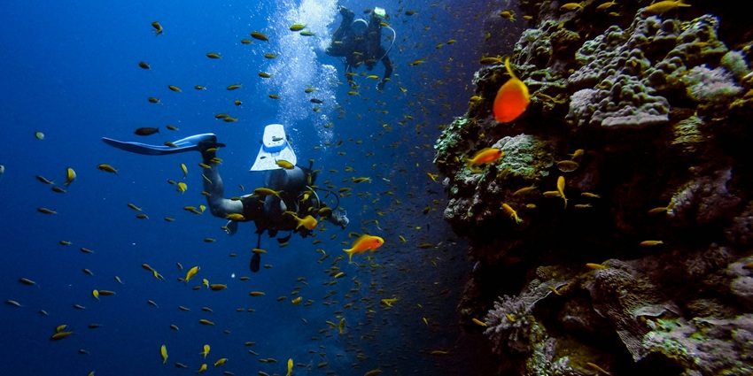 Distant view of Aldabra Atoll Island, a remote paradise and top place for scuba diving in Seychelles.