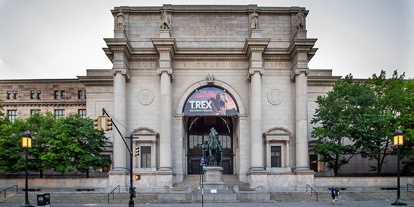 The American Museum of Natural History brings the past to life with fossils and artefacts.