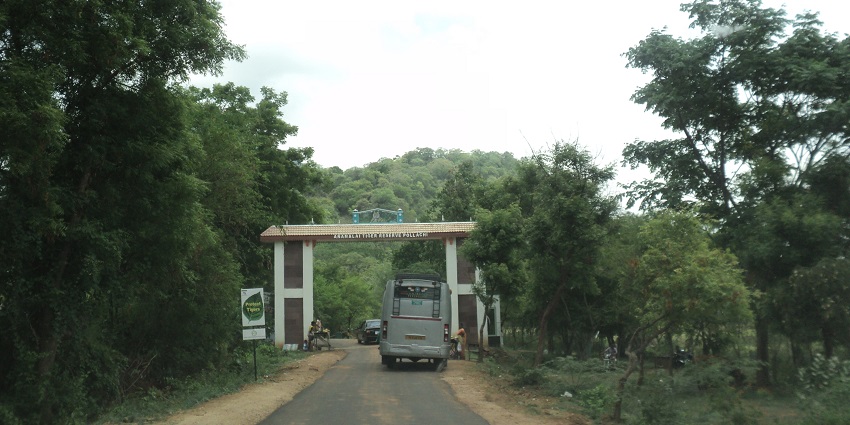 An image of the Anamalai Tiger Reserve, a famous tourist destination in Tamil Nadu.