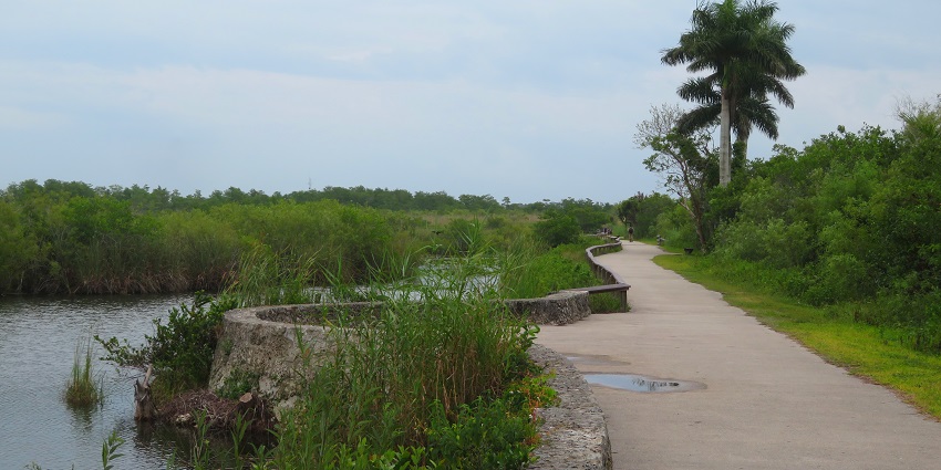 An image of Shelter on a boardwalk over a pond of Anhinga Trail