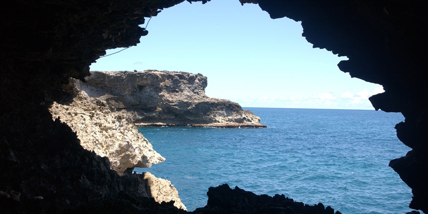 An image of the breathtaking Animal Flower Cave, one of the best places to visit in Barbados