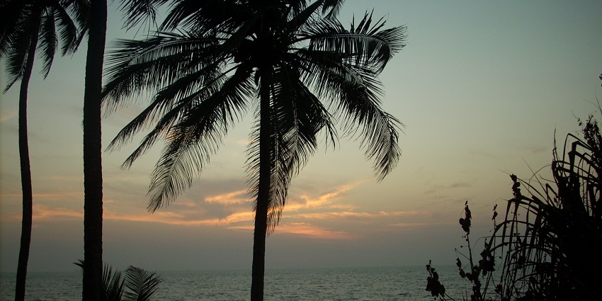 Beautiful image of the Spice-Plantation am Lake Arakere, Ponda