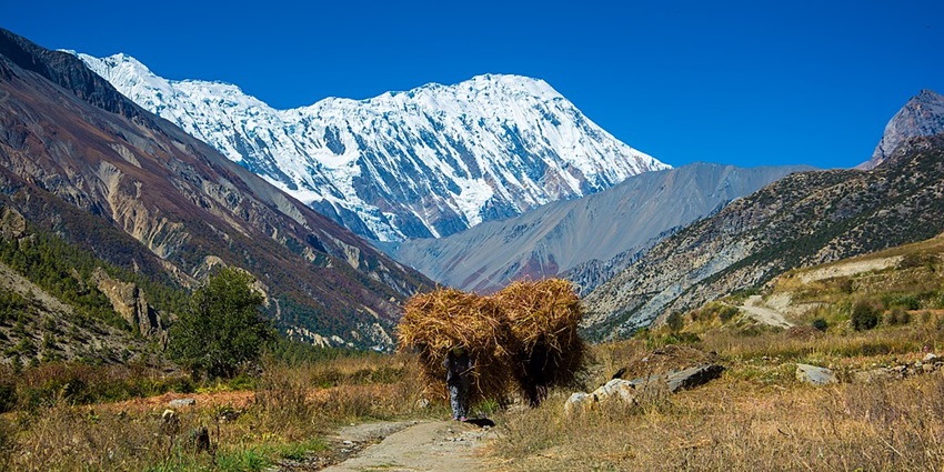 A trekking trail with stunning views of Annapurna peaks, ideal for Himalayan trekking.