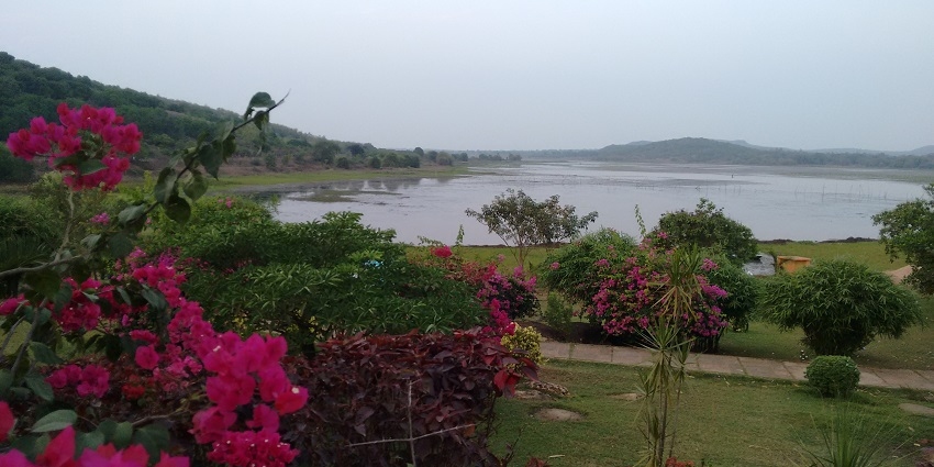An image of Ansupa Lake, a lake in Odisha, with tranquil waters surrounded by lush greenery.