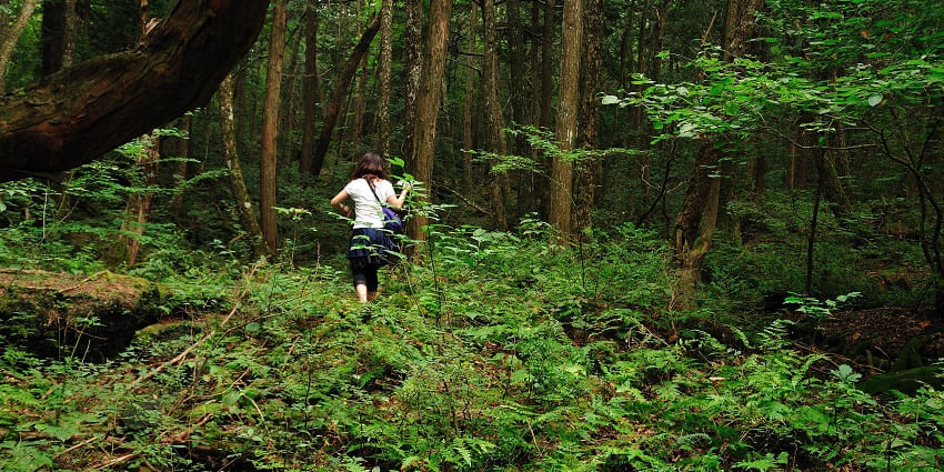 Aokigahara, located in Japan is globally known as one of Asia’s Most Haunted Places