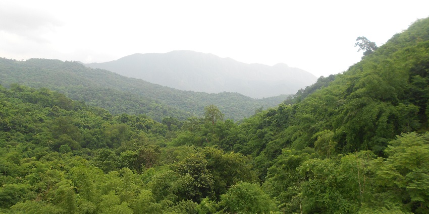 A view of a lush Araku Valley in the lap of Eastern Ghats in Visakhapatnam, Andhra Pradesh.