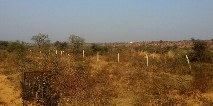 An image of Aravalli Park Lake, a serene retreat near Gurgaon, ideal for nature lovers and adventure seekers