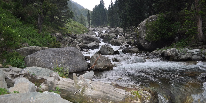Arin valley with a stream passing through the rocks, big green trees and a wooden log