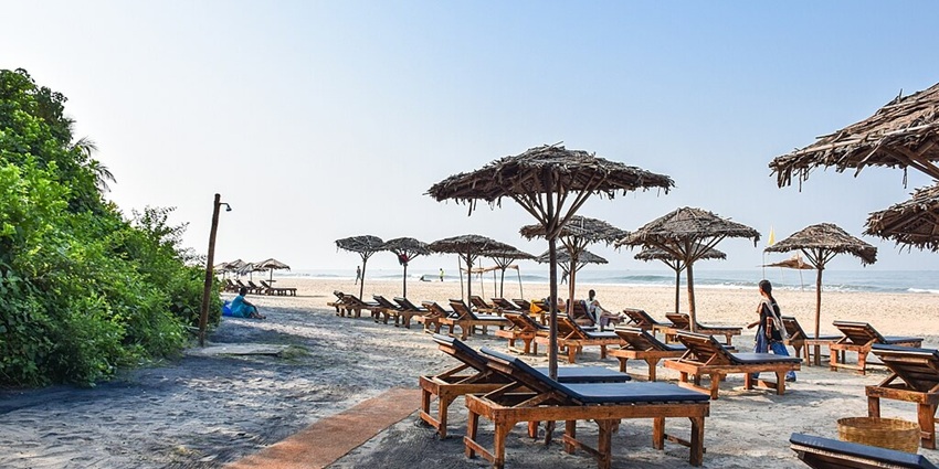 Calm waves gently rolling onto the sandy shore of Morjim Beach under a clear blue sky.