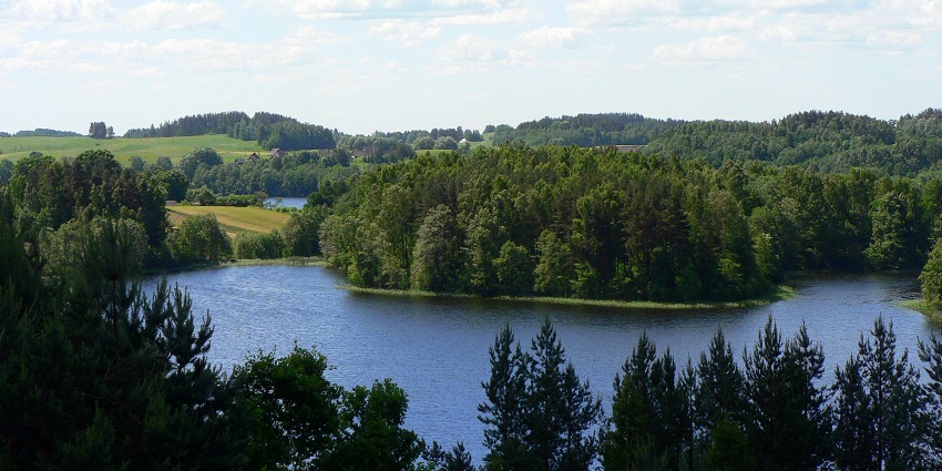 Baluošas Lake in Aukštaitija National Park surrounded by forests with calm blue waters