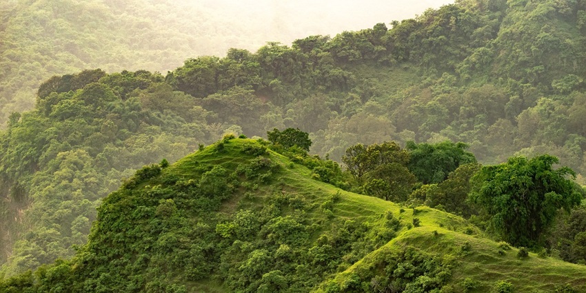 Penang Hill draped in lush green trees forms a nature lover's paradise.