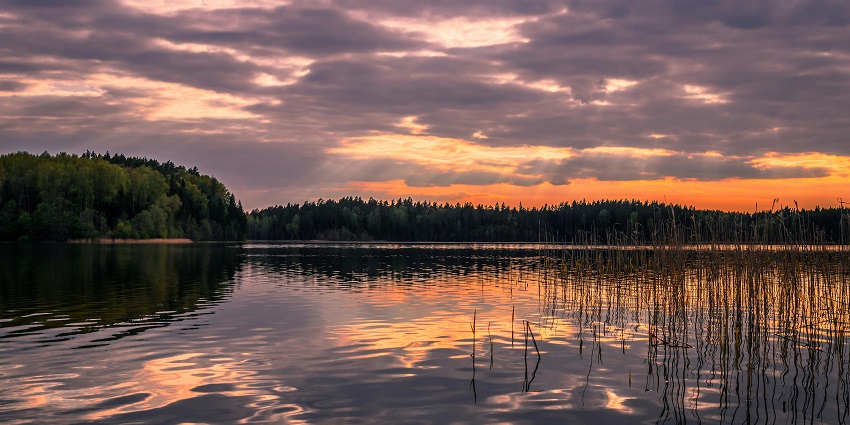 An image of Badshahpur Lake, a serene getaway near Gurgaon, ideal for travelers seeking relaxation and adventure