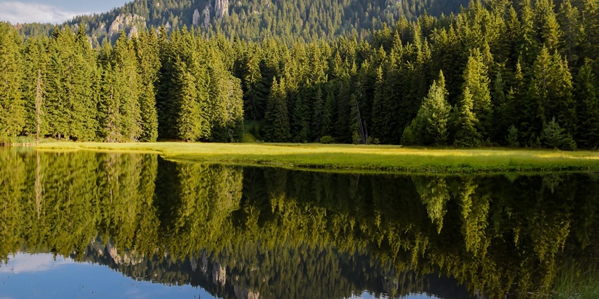 An image of Baglihar Lake with lush green meadows and calm water.