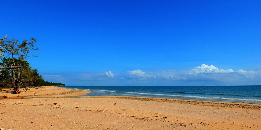 Scenic view of the shoreline and ocean at Balgal Beach with clear skies in the background
