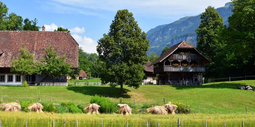 Dried grass stocked together around the garden areas in Ballenberg Swiss Open Air Museum