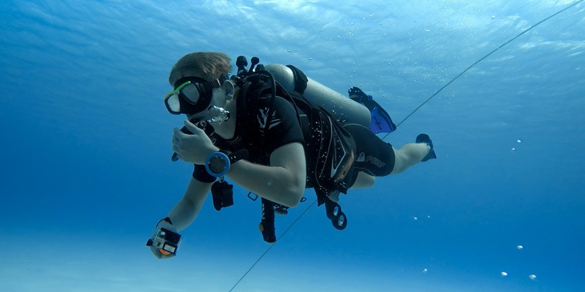 Witness the vibrant coral rieefs under the waters of Barracuda reef in Hikkaduwa