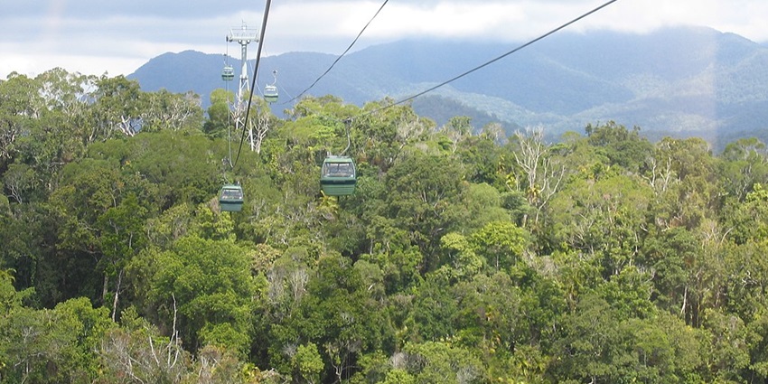A view of the lush greenery and cascading waterfalls within Barron Gorge National Park.