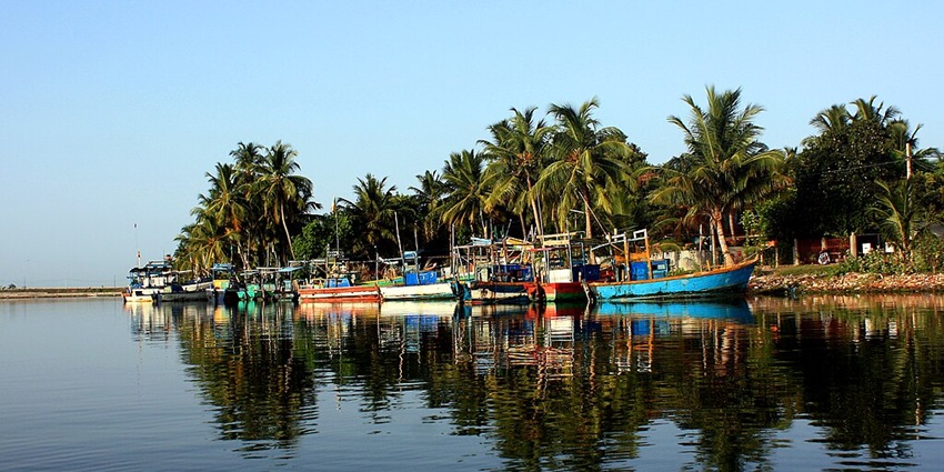 View of the lagoon with vibrant boats parked on the shore with tall palm trees in the background