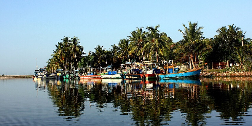 A picture of a scenic lagoon with pine trees and numerous boats parked around the quaint waters