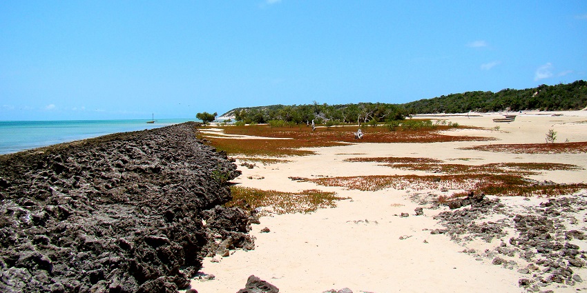 A stunning chain of islands known for pristine beaches and marine life, is the best place to visit as per the Mozambique travel guide.