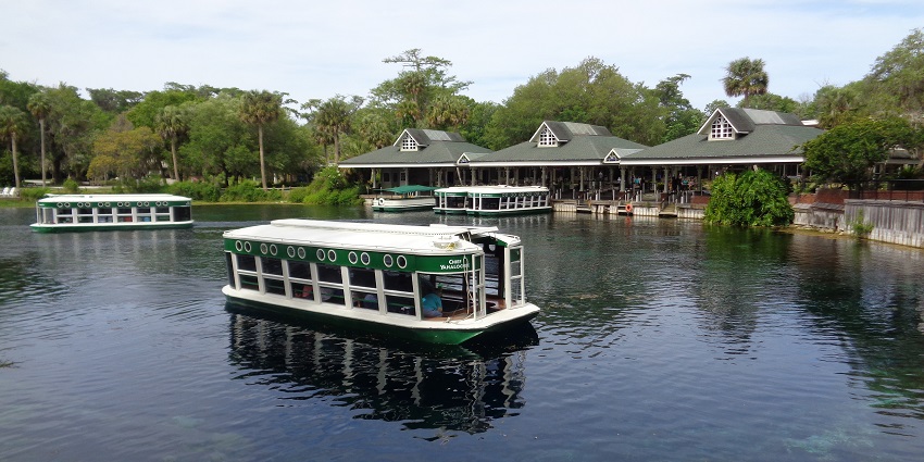 Things to do in Maldives include enjoying breathtaking views of coral reefs and marine life from a glass-bottom boat.