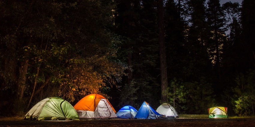 Colourful tents set up in a forest clearing at night, surrounded by tall dark trees.