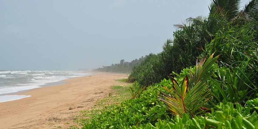 A tropical haven in Sri Lanka, offering water sports, palm-lined shores, and scenic magnificence.