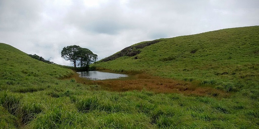 An image of the Chembra Peak Lake on a foggy morning that you plan your visit to.
