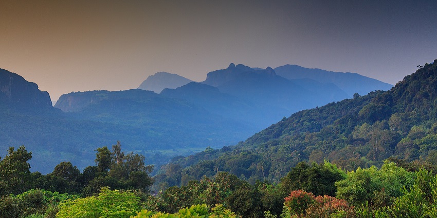 Scenic view of lush green hills and distant blue mountains under a clear evening sky.