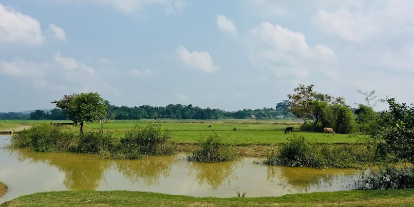 A family enjoying a peaceful day out in nature at one of Bogamati’s picnic spots