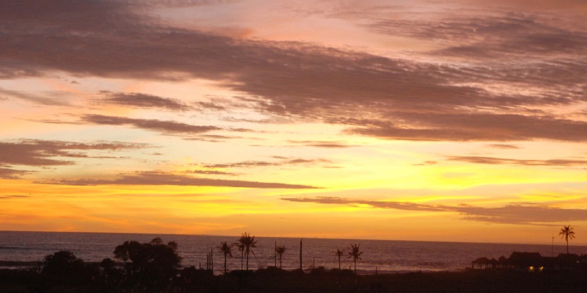 Golden sunset over Canggu Beach, with palm trees and ocean waves in the soft light.