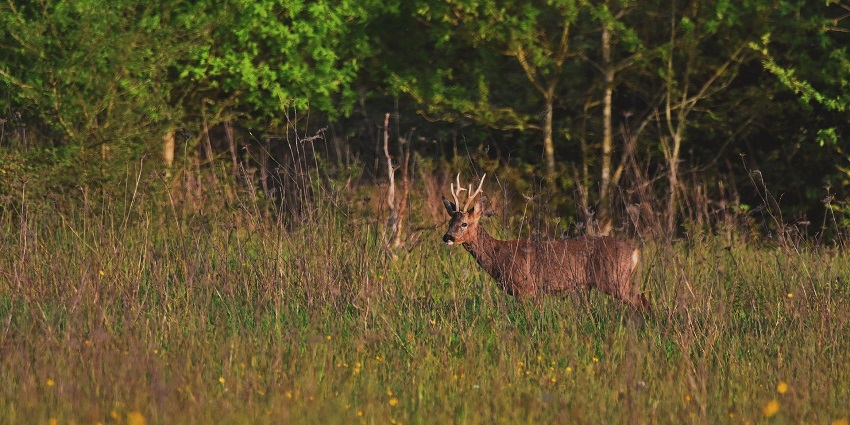 Visit this wildlife gem during winter months for pleasant weather