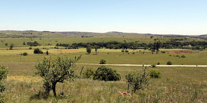 An image of the landscape of the Cradle of Humankind, under a clear sky, full of greenery