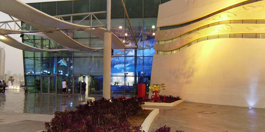 Modern glass building with dolphin projections, landscaped plants, and illuminated walls.