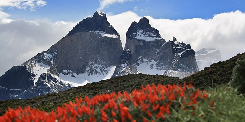 Torres del Paine National Park in vibrant summer bloom.