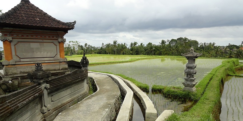 Best time to visit Campuhan Ridge Walk is April to October for pleasant weather and views.