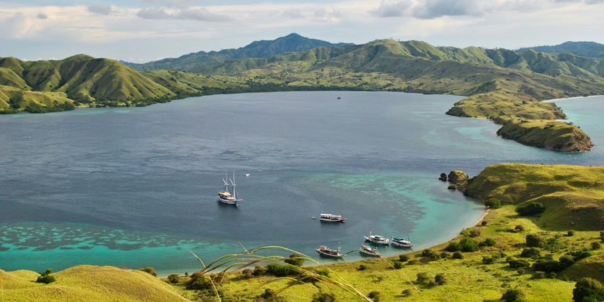 View of a rocky island with seals scattered across the surface, surrounded by the ocean.